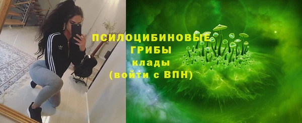 прущие грибы Абаза