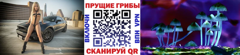 Псилоцибиновые грибы мицелий  Топки 