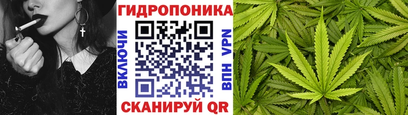 Шишки марихуана SATIVA & INDICA  купить закладку  блэк спрут ССЫЛКА  Топки 